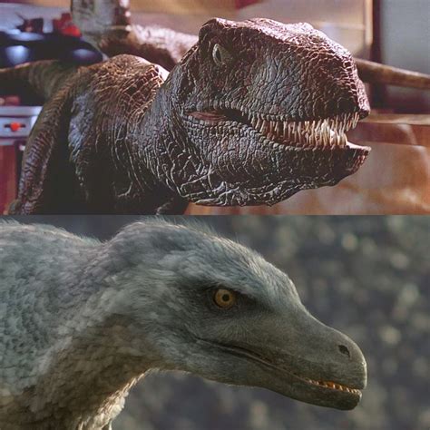 Jurassic Park Vs Accurate Velociraptor Jurassic Park Know Your Meme