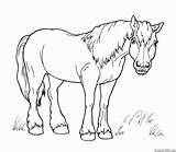 Horse Coloring Toy Walk Horses sketch template