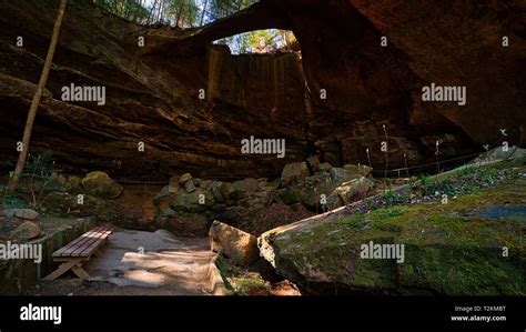 The Natural Bridge In Northern Alabama Is The Largest Free Standing