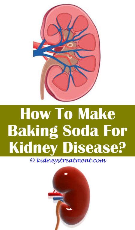 Read on to find out how doctors determine ckd stage, what factors affect the outcome, and more. Stage 4 Kidney Disease Symptoms In Cats - kidausx