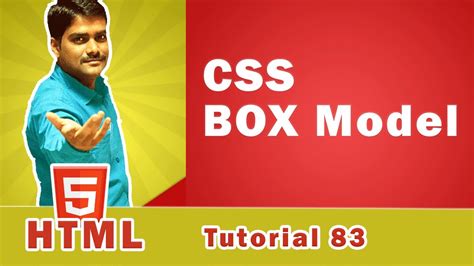 Css Box Model Understand Css Box Model And All Its Properties With