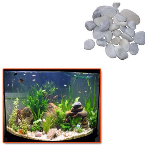 Aquarium Pebbles For Fish Tank At Rs Kg Aquarium Pebbles For Fish Tank In Jaipur Id