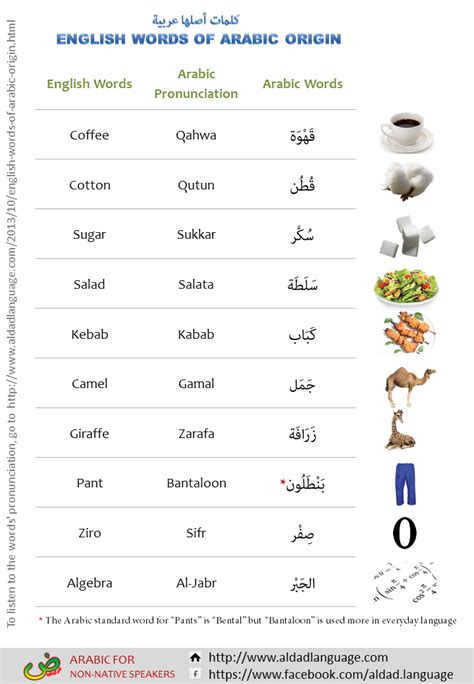 English Word To Arabic Word Kurtinvestment