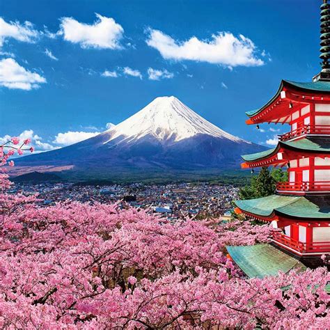 Xem Ngay Danh Sách 20 ảnh đẹp Núi Phú Sĩ Tốt Nhất Bạn Nên Biết