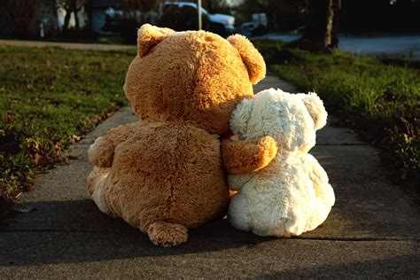Pin By Claudia Tatum On Hug Hug Hug Cute Animals Teddy Bear Walking By