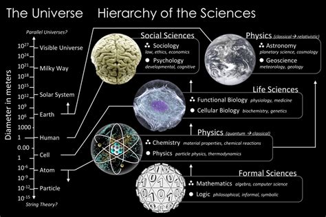 Branches Of Science Roughly Daily