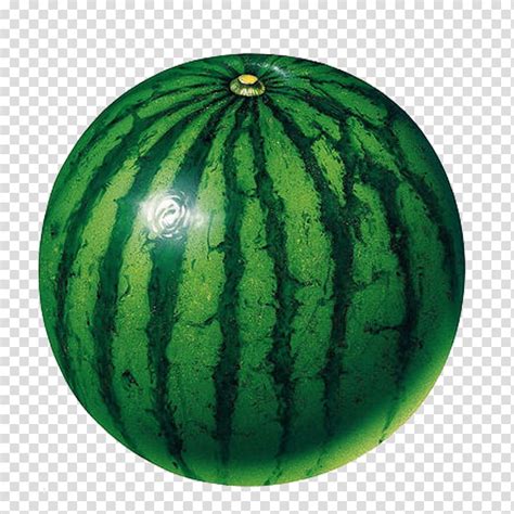 Circle Shape Fruit Watermelon Transparent Background Png Clipart