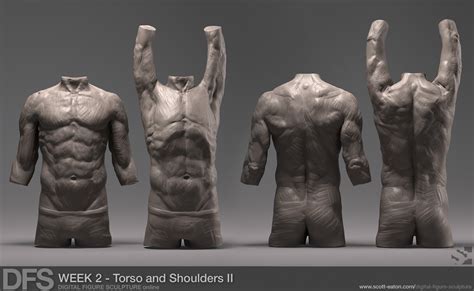 Includes 6 skin modes, skeletal system with connective tissue, and complete muscular system (including all deep muscles). Digital Figure Sculpture Course » Scott Eaton