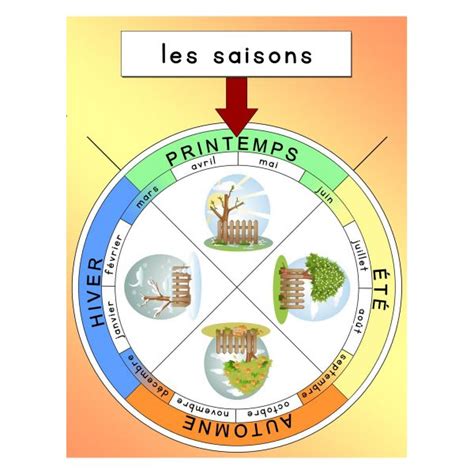 Roue Des Saisons Preschool Activity Pie Chart Education