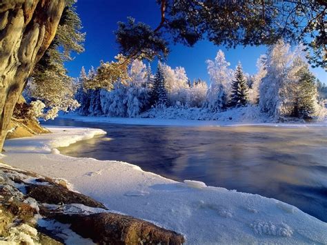 배경 화면 햇빛 나무 경치 숲 호수 자연 반사 눈 겨울 분기 얼음 아침 서리 강 황야 흐름 동결