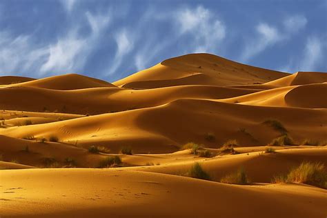 The Major Parts Of The Sahara Desert In Africa