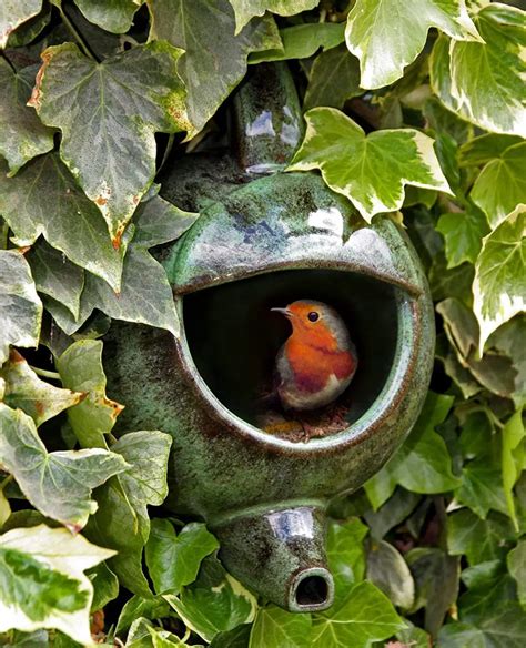 Best Nesting Box For Robins Garden Bird Feeder