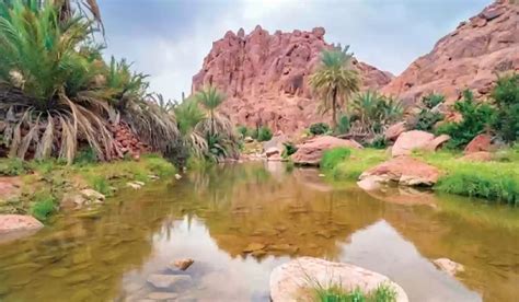 أفضل أماكن السياحة البيئية في أرجاء المملكة العربية السعودية