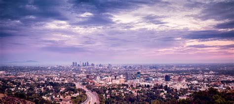 Los Angeles Skyline And Palm Trees Stock Photo Image Of Landmark