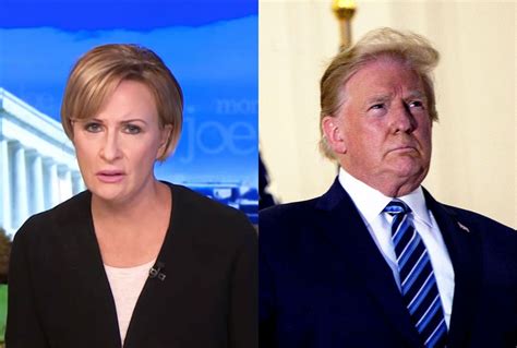Mika and mark are simply doing what talk radio/talk tv personalities do — offer opinions that are just controversial enough to stoke the fire of conversation. "This man is crazy": "Morning Joe" host Mika Brzezinski ...