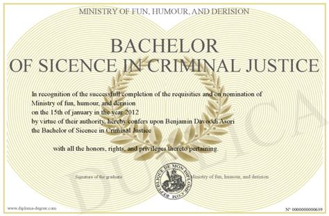 3 pursuing a criminal justice degree. Bachelor-of-Sicence-in-Criminal-Justice