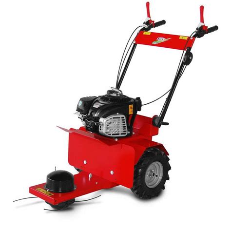 Push Lawn Mower Fm 160 Fort Srl Unipersonale Gasoline