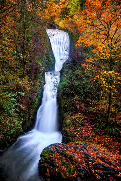 Appetizer Oregon Waterfalls Beautiful Waterfalls Waterfall