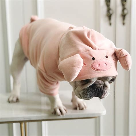 Pug Cute Pig Shape Velvet Funny Costume Pet Dog Clothes For Etsy