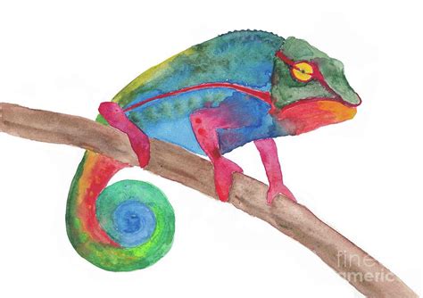 Watercolor Chameleon Painting By Ludwika Pilat Fine Art America