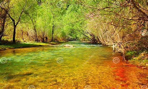 Forest River Stock Photo Image Of Beauty East Middle 19383646