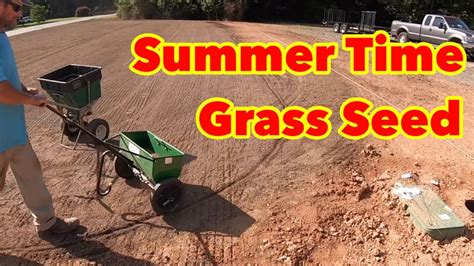 How To Plant Grass Seed In The Summer Bermudagrass Renovation Youtube