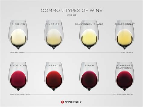 Common Types Of Wine Top Varieties To Know Wine Folly