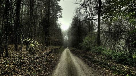Nature Landscape Path Forest Trees Spooky Wallpaper Nature And