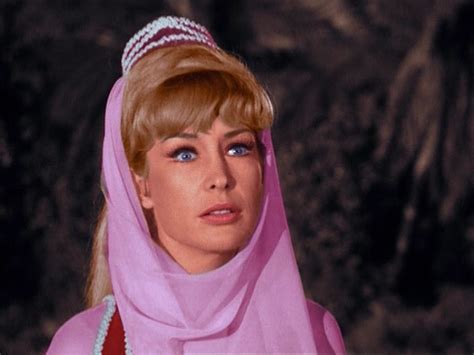 The Lady In A Bottle X I Dream Of Jeannie Image Fanpop
