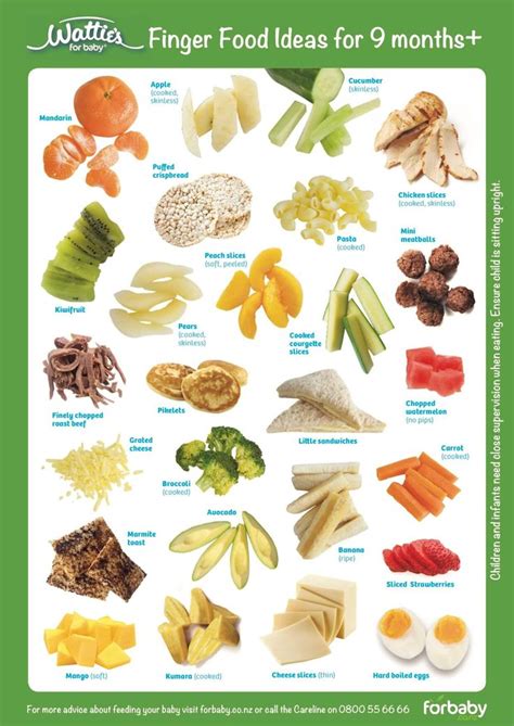 Baby food chart, starting solids tagged with: Finger Food Ideas for 9 months plus | Healthy baby food ...