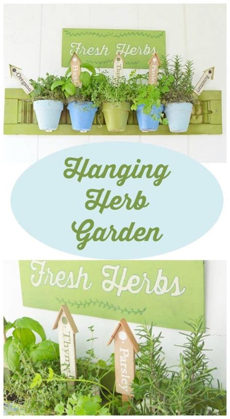 How To Make A Hanging Herb Garden Herb Garden Container Gardening