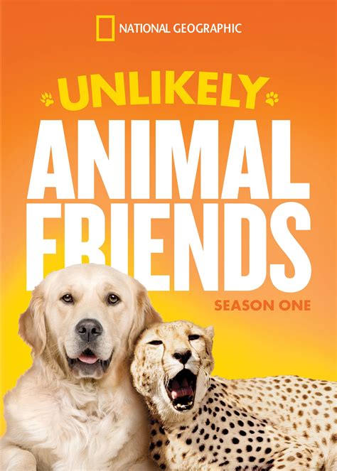 Best Buy Unlikely Animal Friends Season 1 Dvd