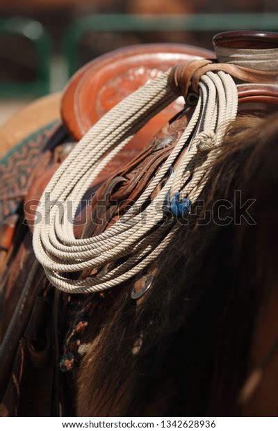 Cowboys Roping Lariat Coiled Attached Saddle Stock Photo Edit Now