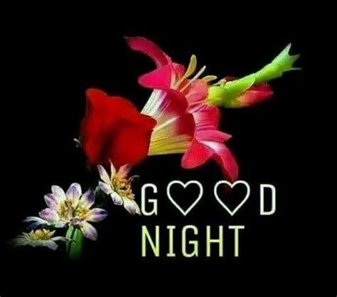 So, download the best good night flowers images right away from the freshest collection on the web and make someone's good night time ultra special. Beautiful Collection of Good Night Wishes Images with ...