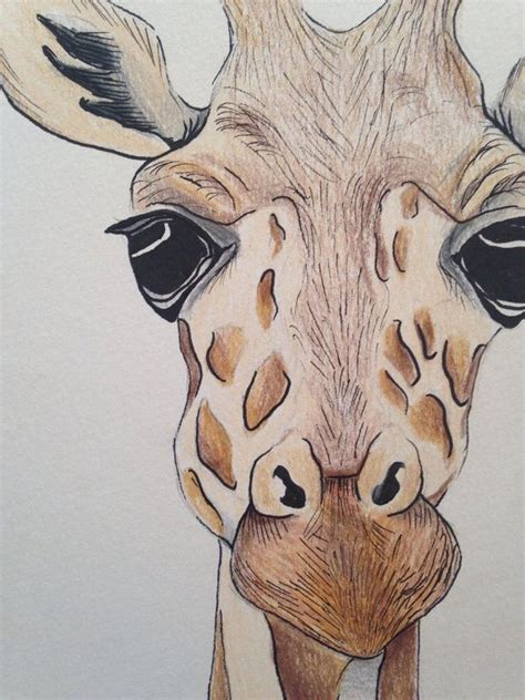 How To Draw A Giraffe Face