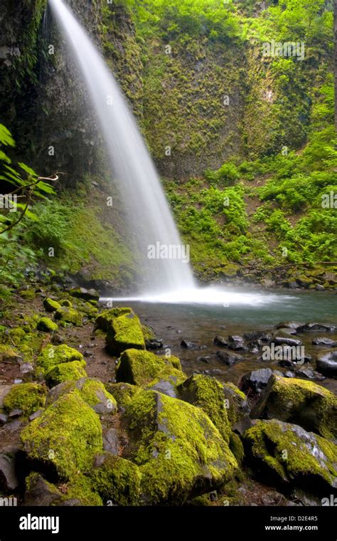 Ponytail Falls In The Columbia River Gorge National Scenic Area Oregon