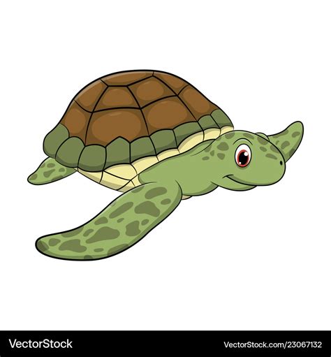 How To Draw A Turtle Cartoon Mentionfish