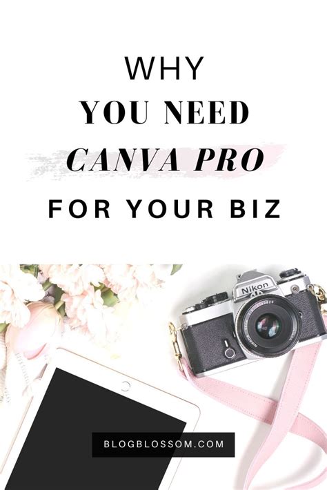 Canva Pro Review Is It Worth It For Your Online Biz