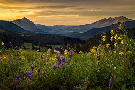 10 Things You Cant Miss In Crested Butte Houstonia Magazine