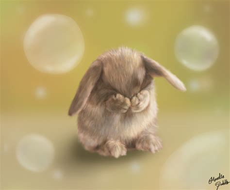 Shy Bunny By Bandgeekninja0723 On Deviantart