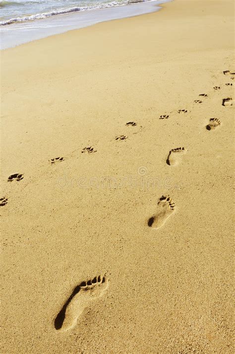 Footprints Stock Photo Image Of Mark Mold Sand Feet 22793796