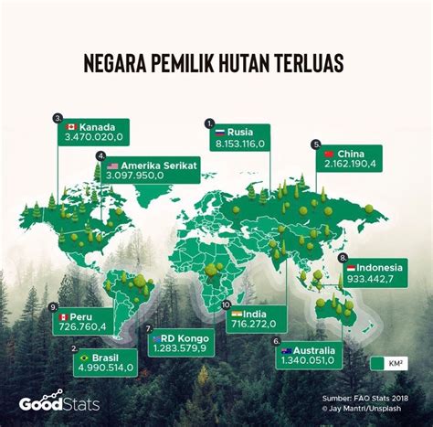 Melihat Potret Reboisasi Hutan Indonesia Goodstats