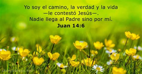 Juan 146 Rvr95 Versículo De La Biblia Del Día