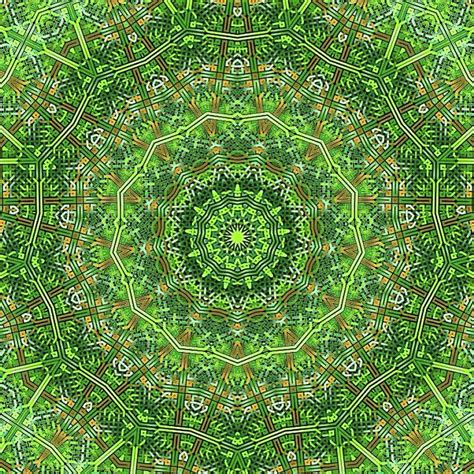 Green Celtic Knot Circle Kaleidoscope Digital Art By Cindy Boyd Fine