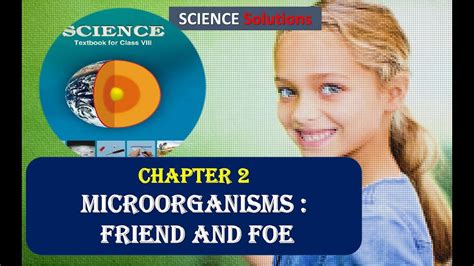 Microorganisms Friend And Foe Class 8 Science Ncert Solutions Chapter 2