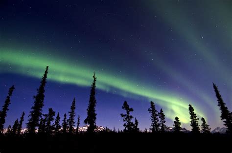 Aurora Borealis In Denali National Park Alaska Image Free Stock