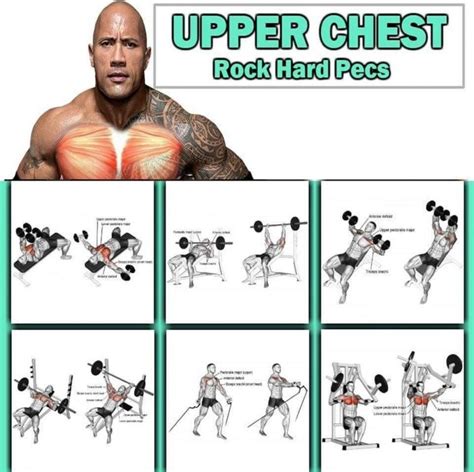 This muscle group is a superficial muscle (meaning you can see it and feel it against your skin) that is very wide and flat. Upper Chest Training - The Rock Hard Pecs Workout ...