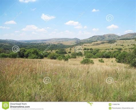 Grassland In Winter With Green Bushes And Distant Hills Stock Photo