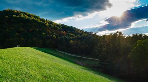 7680x4320 Hill Trees Summer 8k Wallpaper Hd Nature 4k Wallpapers