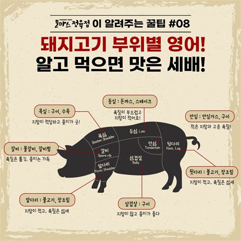 Thomas Meat 토마스 정육점이 알려주는 🥩꿀팁 8탄 돼지고기 부위별 영어 And 요리 정보는